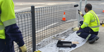 Council workers refreshing a fence with new paint