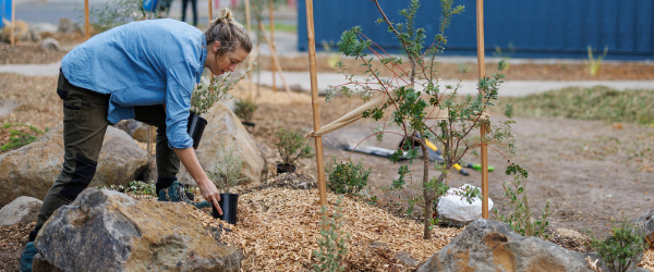 Lady planting shrubs in the new community garden at the Banksia Gardens Activation Hub