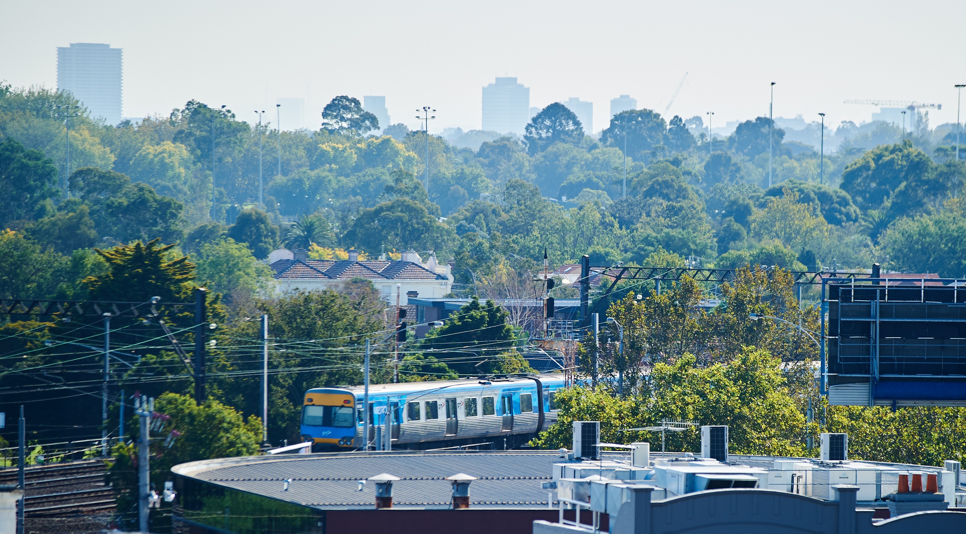Metro train amidst buildings and treetops